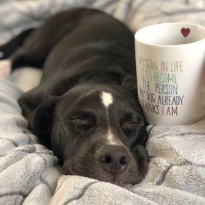 Meet your Posher, Nikki